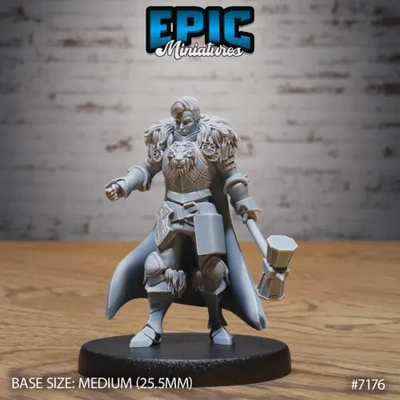 Paladín, personaje masculino