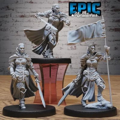 Conjunto de personaje femenino Paladín