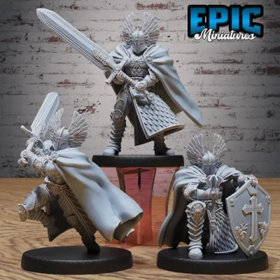 Conjunto de Paladín Celestial