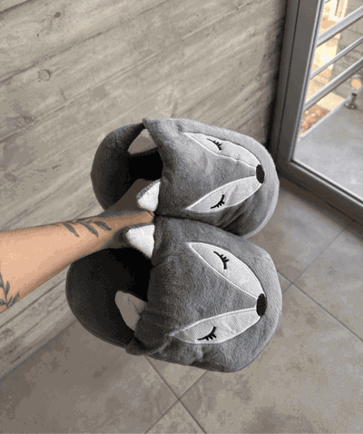 Pantuflon | Zorro