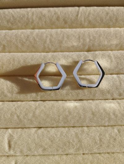 AROS CAPRI