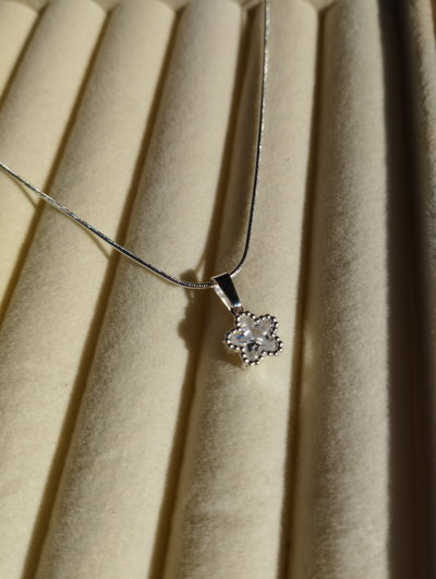 COLLAR CLOE 