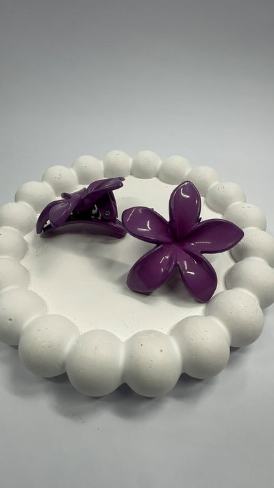 SET DE BROCHES VIOLET 