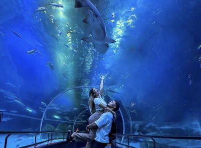 AquaRio con Boulevard Olímpico