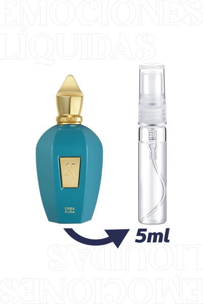 Decant 5ML Xerjoff Erba Pura