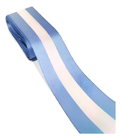 CINTA ARGENTINA Nº 22 ( 7 CM) X 10 MTS.