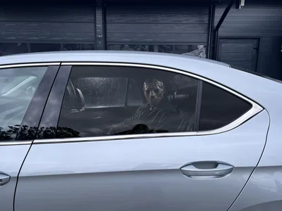 Adhesivo para ventana de coche con visión unidireccional