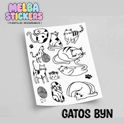 GATITOS BLANCO Y NEGRO