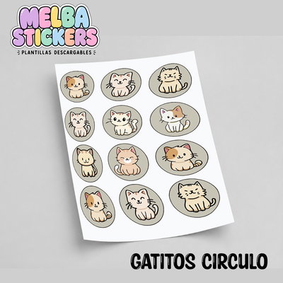 GATITOS CIRCULO