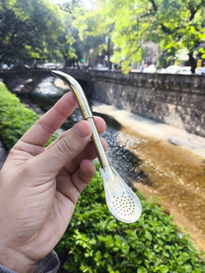 Bombilla pico de loro alpaca