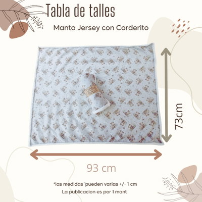 Manta Jersey & Corderito- Celeste avioncitos