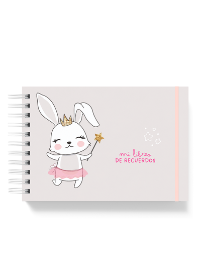 🧸 Diario del Bebé