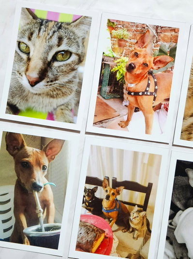 Fotos polaroid