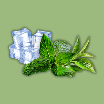 ELSA (Mentol) – NIC SALT