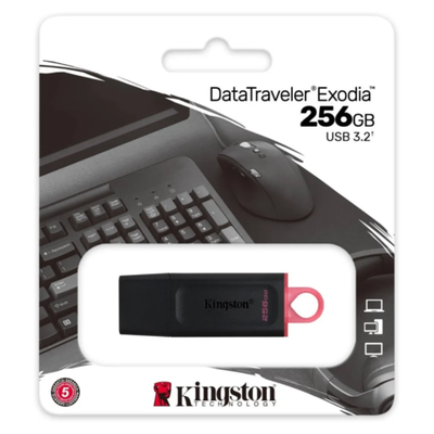 PENDRIVE KINGSTON 256GB ORIGINAL