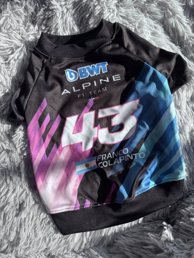 Remera alpine 