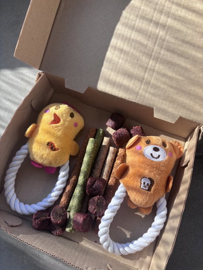 Box día de las infancias perrunas 