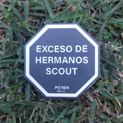 Exceso de hermanos scout