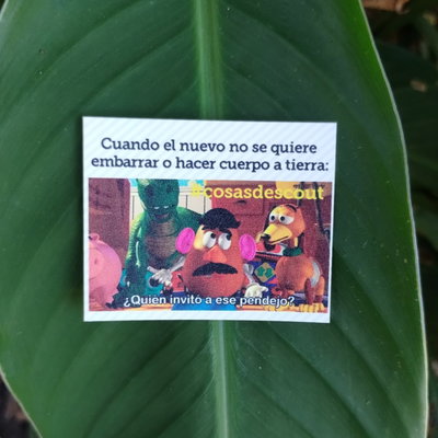 Meme 19