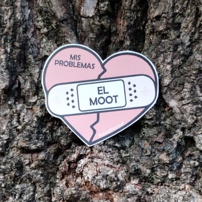 Curita EL MOOT