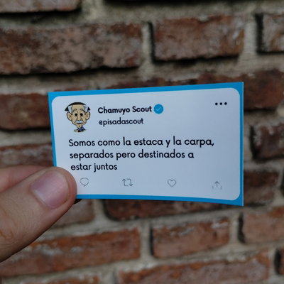 Chamuyo scout 01