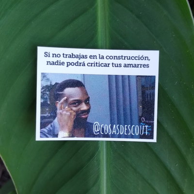 Meme 21