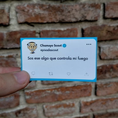 Chamuyo scout 13