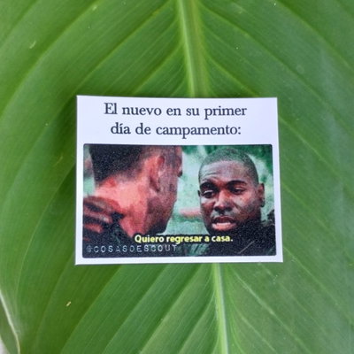 Meme 23