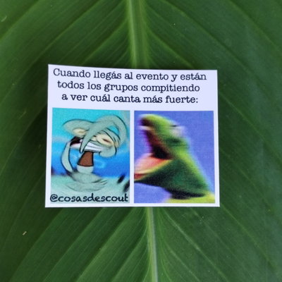 Meme 22