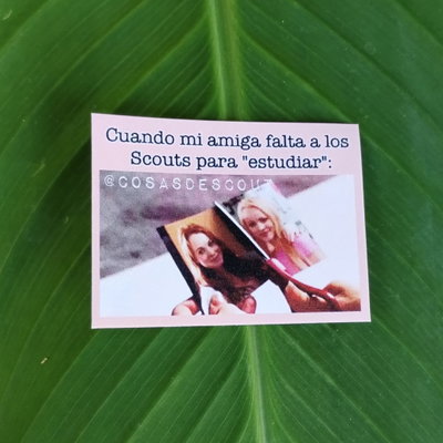 Meme 25