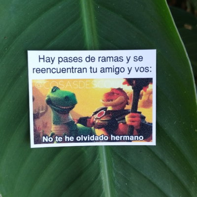 Meme 31