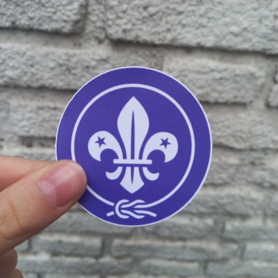 Flor de lis moderna
