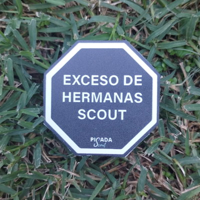 Exceso de hermanas scout