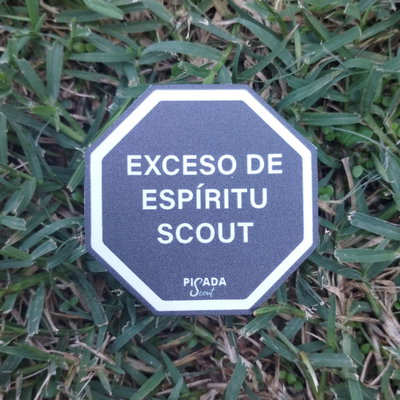 Exceso de espíritu scout
