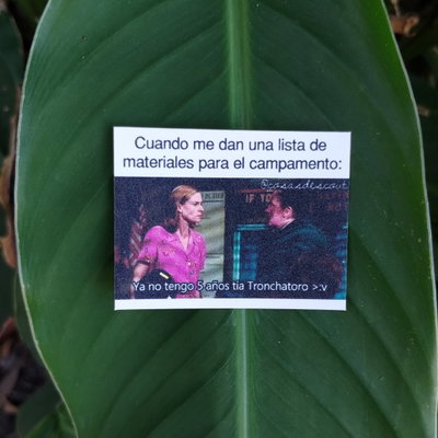 Meme 18
