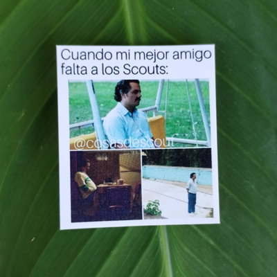 Meme 33