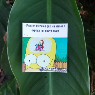 Meme 14