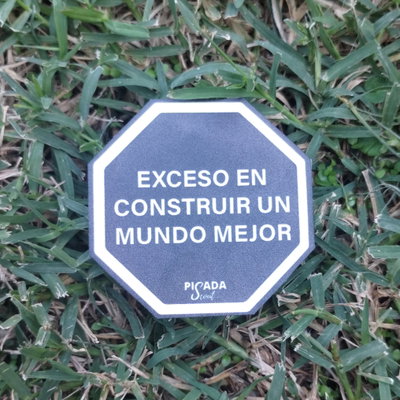 Exceso en construir un mundo mejor