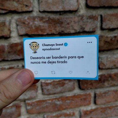 Chamuyo scout 02