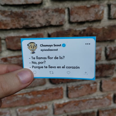 Chamuyo scout 12