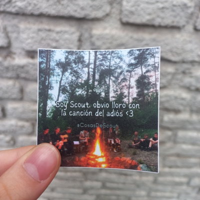 Soy scout, obvio que 02