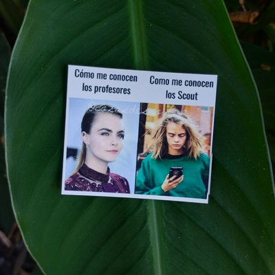 Meme 13