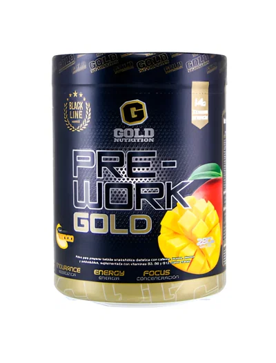 Pre Work Gold x 280 grs 