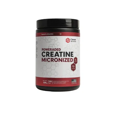 Creatine Micronized 500g One fit 