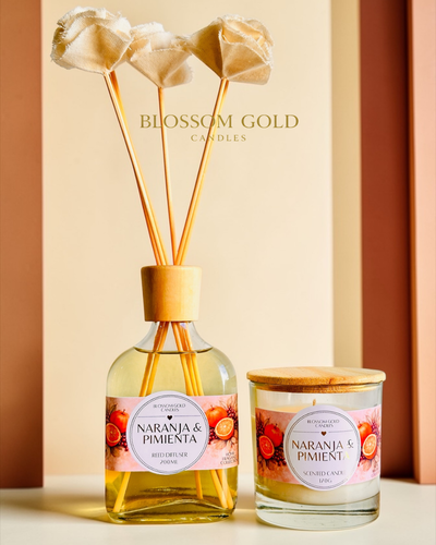 KIT N1  - The Gold Collection