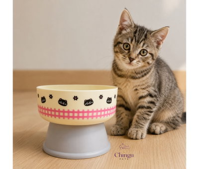 COMEDERO PARA GATOS 