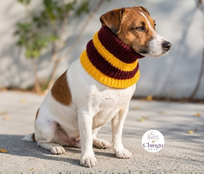 CUELLO TEJIDO HARRY POTTER