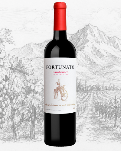 Fortunato Lambrusco Grasparossa 2018
