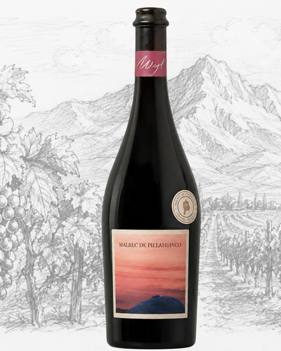 Malbec de Pillahuinco 