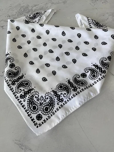 PAÑUELOS PUNTOS Blanco